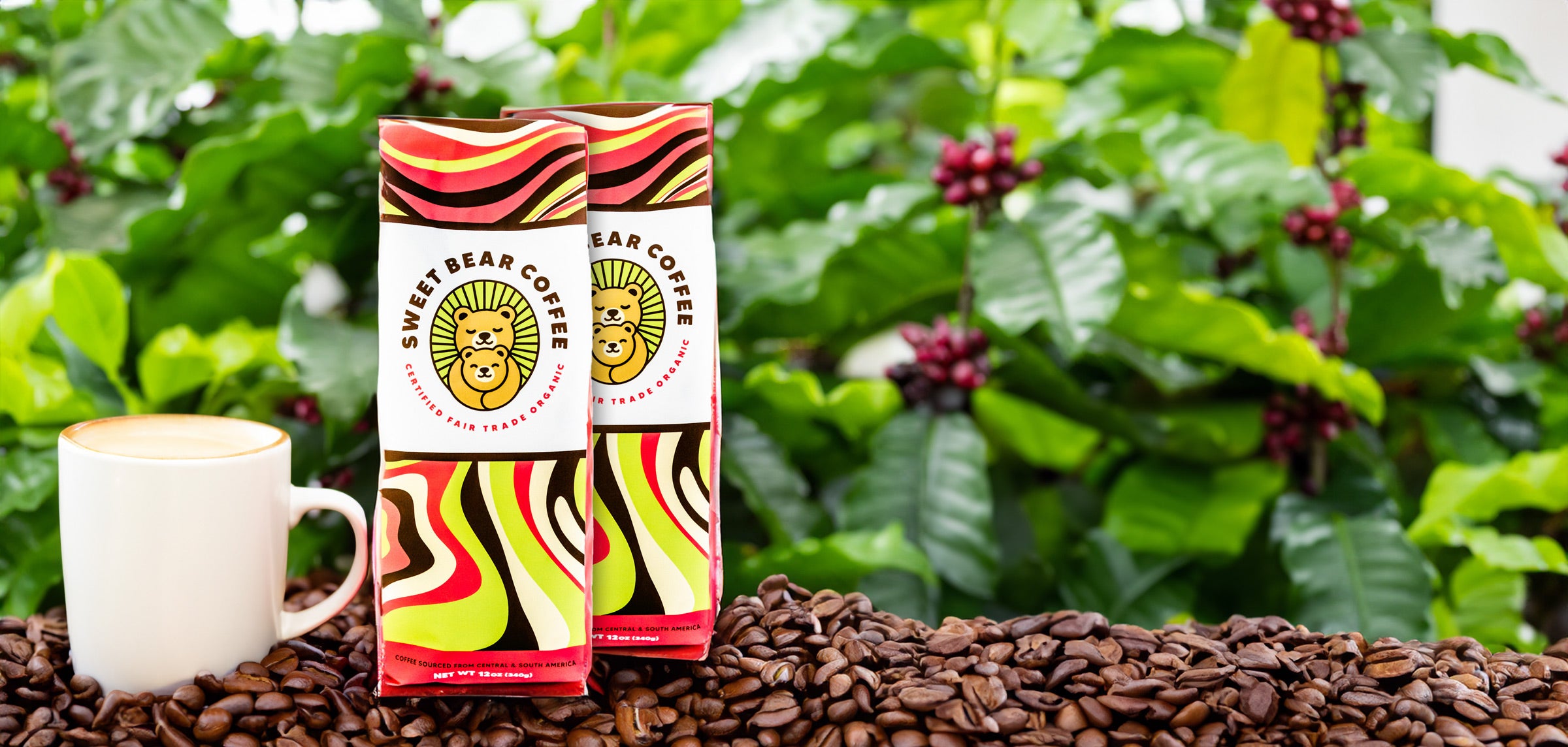 Sweet Bear Coiffee bags with a cup of coffee amid a sea of coffee beans image